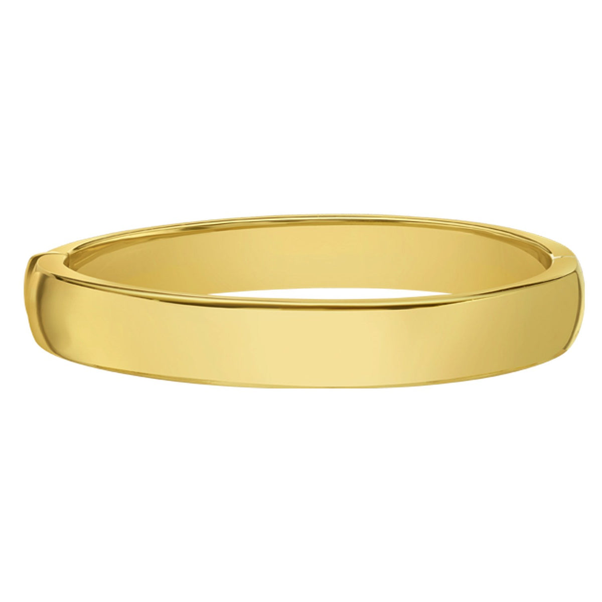 14K Yellow Gold Classic Polished Bangle (10.00 mm)