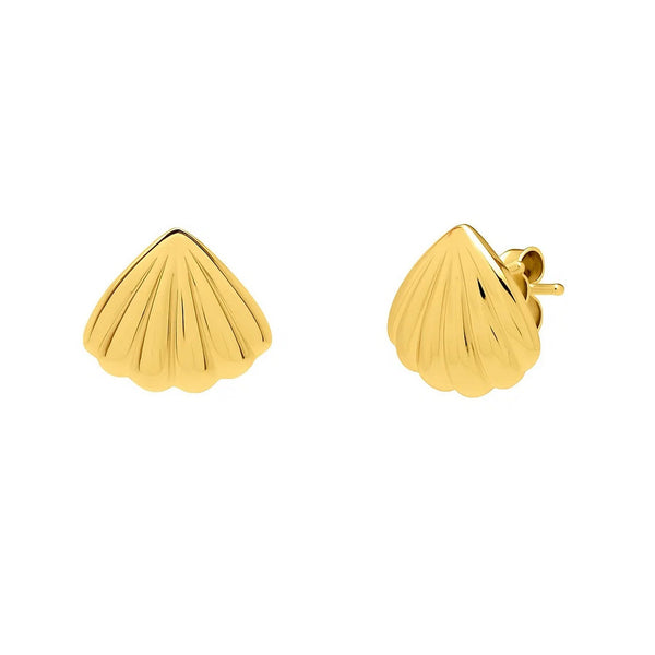 Sea Shell Stud Earrings in 10K Yellow Gold