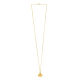 Sea Shell Necklace in 10K Yellow Gold